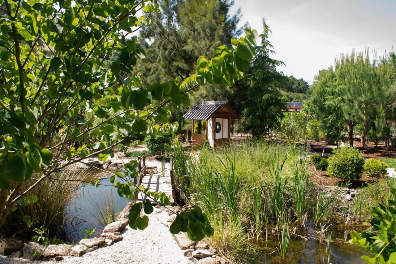 Bed and Breakfast Quinta Japonesa Carvalhal Bemfeito Екстер'єр фото